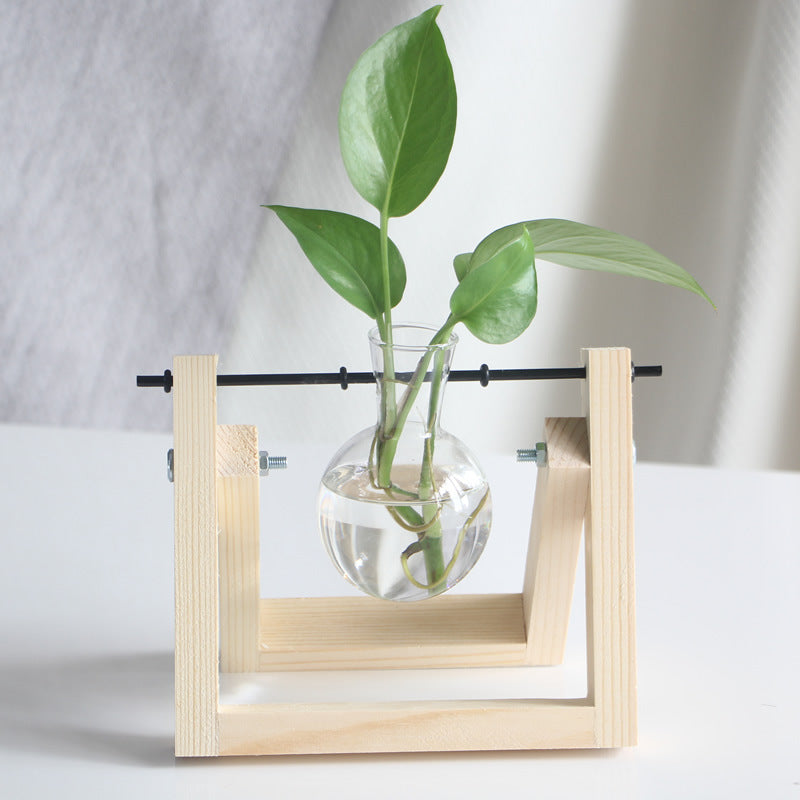 Desktop Hydroponic Glass Vase