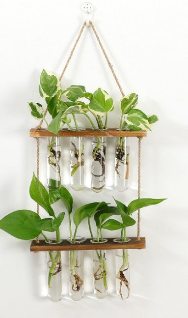 Wall Hanging Terrarium Glass Propagator