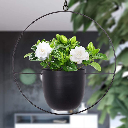 Iron Hanging Planter